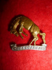 C39 - 14th Canadian Light Horse Officer's Silver & Gilt Collar Badge